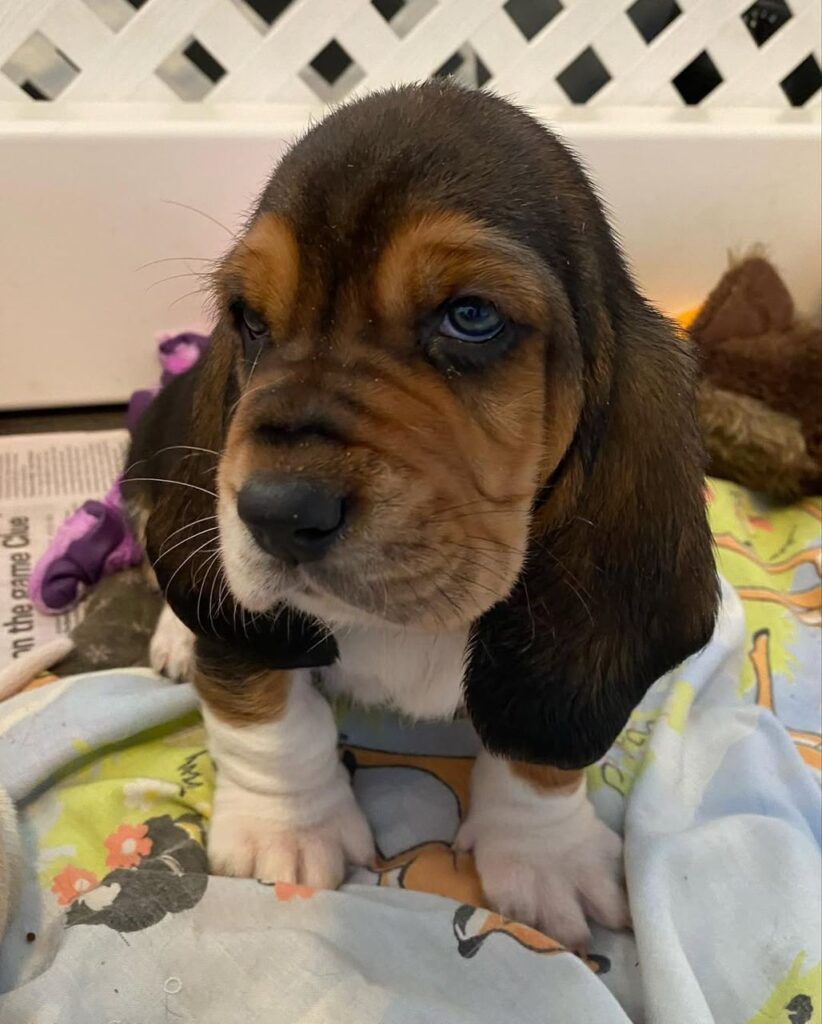 Charlie