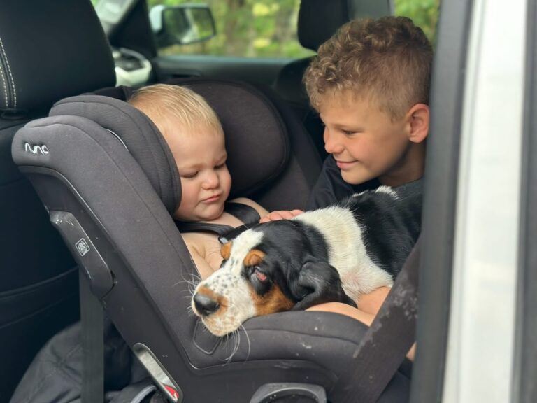 Simone Vaughn with their basset hound